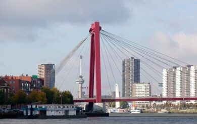 ACC coach opleiding coaching courses Rotterdam